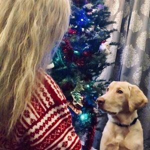 Meet your Posher, Bitsy